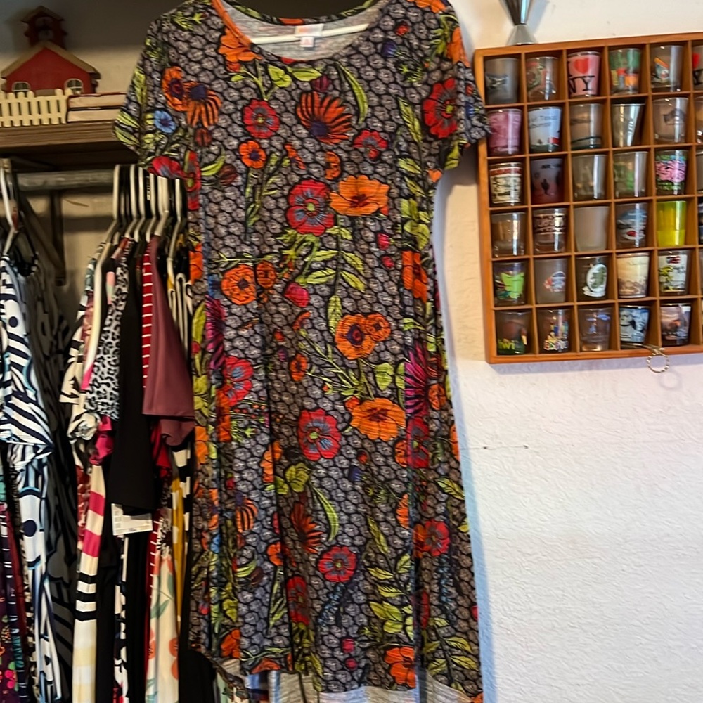 Small LulaRoe Carly